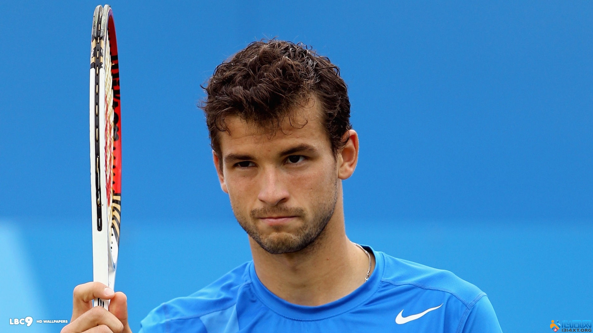 团队积极引 团队积极引